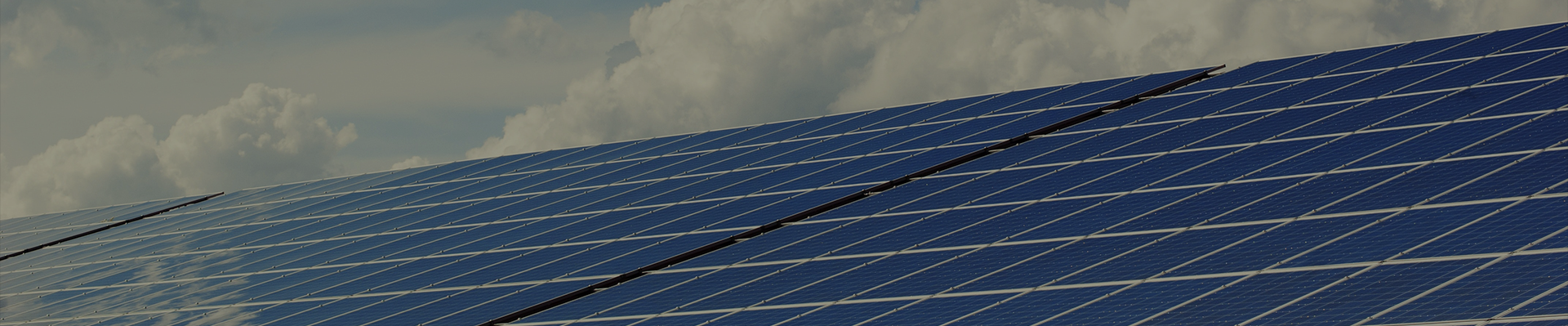 zoty��ŷ��(�й����޹�˾)�ٷ���վ